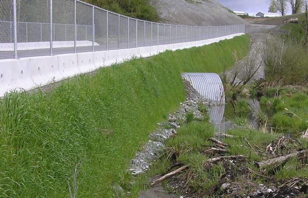 Steep Slope Armoring Erosion Control